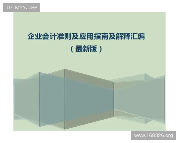 全面解析澳门会计准则的制定与应用指南
